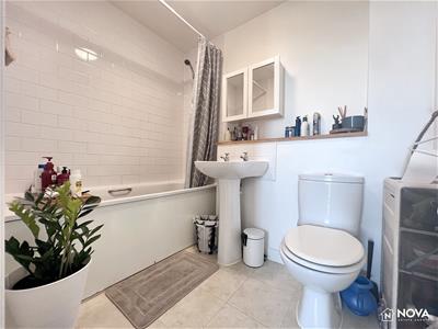 Picture 15